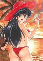 :d alluring beach bikini bishoujo_senshi_sailor_moon black_hair blush butt_crack cloud cowboy_shot day female floating_hair from_behind green_eyes hair_between_eyes hat long_hair looking_back ocean open_mouth outside palm_tree red_bikini red_hat rei_hino smile standing sun_hat swimsuit tomoeri tree very_long_hair