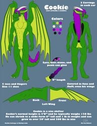 1boy animal_genitalia anthro bakari balls dragon erection fur hair horn knot male male_only model_sheet nude sheath solo wings