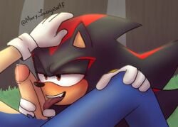 2boys dick furry gay oral sex shadow_the_hedgehog sonadow sonic_(series) sonic_the_hedgehog yaoi