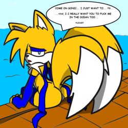 breasts canine clothed clothing female flight_attendant fox greglecat mammal recolor rule_63 solo sonic_(series) stewardess stewardess_uniform tails tailsko