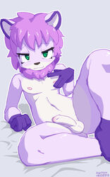 balls black_nose blue_eyes erection feline fur hair humanoid_penis kaitoh lion looking_at_viewer male male_only mammal mane navel nipples partially_retracted_foreskin penis pink_fur pink_hair purple_fur solo spread_legs spreading uncut