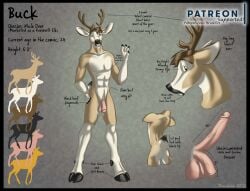 anthro antlers ass balls black_hooves brushfire buck_(brushfire) deer erection flaccid foreskin fur genitals hooves horn humanoid_genitalia humanoid_penis male mammal model_sheet mule_deer new_world_deer nude orange_eyes penis pink_balls pink_penis scut_tail short_tail solo standing tail tan_body tan_fur