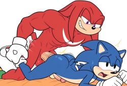 knuckles the echidna from sega