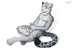 1boy 2016 anthro balls barbed_penis erection feline fur grey_fur kael_tiger kieran kieran_(kierish) leopard leopard_spots male male_only mammal masturbation nude paws penis simple_background snow_leopard solo spots