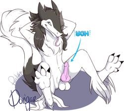 furry penis pixelyte tagme