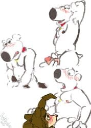 bear brian_griffin canine family_guy fellatio male male_only mammal oral sex skittleytwix willy_(artdecade)