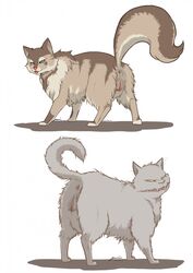 2girls alvina anus ass cat dark_souls dark_souls_2 duo feline female female_only feral fromsoftware fur furry humanoid_pussy looking_back mammal paws presenting pussy simple_background sweet_shalquoir tail video_games white_background