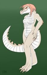 alligator anthro bakari breasts crocodilian featureless_breasts female hair looking_at_viewer nude pussy reptile scalie slit_pupils solo standing