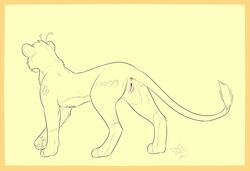 anus ass bahati_whiteclaw belly digitigrade feline female feral flower fringe hair_flower jazzlioness lion mammal pawpads plant pussy simple_background sketch solo tail_aside tail_tuft tuft