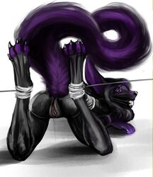 2016 anthro ass black_fur black_hair bondage bondage bound canine clitoris female fox fur gag hair hands_behind_back looking_at_viewer looking_back mammal nude purple_eyes purple_fur pussy pussy_juice rear_view rope sephrendemon solo