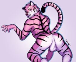 2023 anthro anus ass athletic athletic_anthro athletic_male balls butt_focus clawed_fingers digital_drawing_(artwork) digital_media_(artwork) duo erection fang_the_tiger_(artist) fang_the_tiger_(character) fangs felid feline fur genitals humanoid_genitalia humanoid_penis looking_at_viewer looking_back male male_focus mammal markings nude pantherine penis pink_body pink_fur presenting presenting_anus presenting_balls presenting_hindquarters ring_(marking) ringed_tail shaded showing_teeth signature simple_background simple_shading solo spread_butt spreading striped_body striped_fur striped_markings striped_tail stripes tail tail_markings teeth tiger white_body white_fur