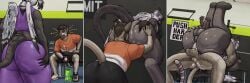 anal anal_sex anthro anus ass avian balls big_butt bodily_fluids bottomwear butt_grab clothed clothing dripping duo erection erection_under_clothing eyewear feathered_wings feathers felid feline genital_fluids genitals glasses gryphon gym hand_on_butt hi_res huge_butt humanoid_genitalia humanoid_penis male male/male male_penetrated male_penetrating male_penetrating_male mammal mythological_avian mythological_creature mythology nude oral penetration penile penile_penetration penis precum precum_drip rimming sex surprised_expression tail tall_lizzard_(artist) thick_thighs tongue topwear vein veiny_penis wide_hips wings
