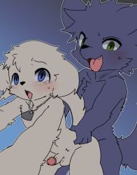 2025 4_fingers anthro anthro_on_anthro anthro_penetrated anthro_penetrating anthro_penetrating_anthro balls black_body black_fur blue_eyes blush bodily_fluids canid canine canis cheeky domestic_dog duo embarrassed erection fangs fingers fur genitals green_eyes hi_res humanoid_genitalia humanoid_penis jewelry looking_at_viewer male male/male male_penetrated male_penetrating male_penetrating_male mammal necklace necklace_only nifram_logan nude nude_male onwanwa open_mouth penetration penis sex tail tamo_(onwanwa) tears teeth tongue tongue_out white_body white_fur wolf