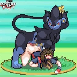 anal necronomic_con pixel_art pokemon