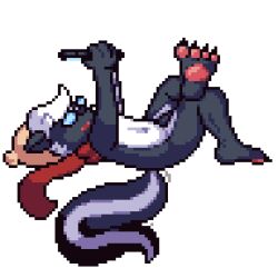 1:1 2025 alpha_channel anthro belly black_penis electronics eyewear genitals glasses hair low_res lying male mammal mephitid mostly_nude navel pawpads penis phone scarf skunk skunk_in_scarf skunk_tail solo white_belly white_hair yulsbolts