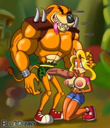 2016 anthro areola balls bandicoot big_breasts big_penis blu3danny breasts crash_(series) duo erect_nipples erection feline female male mammal marsupial nipples penis precum tawna_bandicoot tiger tiny_tiger video_games