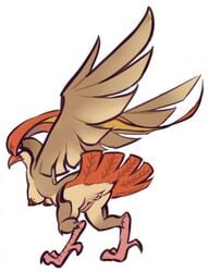 1girls anus areolae ass beak bird black_eyes breasts claws feet female female_only feral kardie looking_at_viewer looking_back nintendo nipples pidgeot pokemon pussy solo standing tail video_games white_background wings