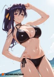 1girls 2026 ai_assisted ai_generated akeno_himejima anime athletic_body beach big_breasts bikini black_bikini blue_sky breasts bust female hair_ribbon high_school_dxd large_breasts long_hair looking_at_viewer outdoors ponytail purple_eyes sea slim_body smile solo_female swimsuit thighs vicex violet_hair water