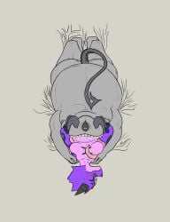 1_eye absurd_res ambiguous_gender anthro blush bodily_fluids body_size_growth demon drooling duo female female/ambiguous hi_res hooked_tail horn horn_grab horned_humanoid humanoid imp jera_(character) kobold kubold_(atlyss) larger_pred lix_(peb) nervous purple_body purple_scales saliva saliva_on_breasts scales scalie size_transformation sizzleburn_(artist) swallowing tail transformation vore