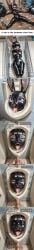 ai_generated angry arms_behind_back ball_gag barcode bathroom bathroom_tiles blank_stare blindfold bondage bound broken broken_sex_toy bunny bunny_ears bunny_girl cart comic crying cum cum_drip cum_in_mouth cum_on_tongue discarded disposal drinking_cum ear_tag face_harness female forced_oral forniphilia full_body full_body_suit gag gimp_suit glory_hole glory_wall grocery_store hardcore harness harness_gag head_only judy_hopps latex latex_clothing latex_suit living_furniture living_sex_toy living_toilet nose_hook nose_ring open_mouth passed_out pasties peeing permanent permanent_bondage pov public_use purple_eyes rabbit rabbit_ears ring_gag rubber rubber_suit sale shiny_latex shiny_skin shopping_cart slave slave_auction slave_girl slave_market stationary_restraints stuck stuck_in_wall tears teeth text toilet toilet_slave tongue tongue_out trash trash_can unconscious urinal used_condom zootopia