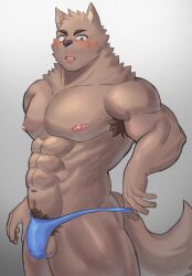 2022 5_fingers abs anthro areola armpit_hair balls biped black_nose blue_clothing blue_thong blue_underwear blush blush_lines bodily_fluids body_hair brown_eyebrows brown_pubes bulge canid canine cheek_tuft clothed clothed_anthro clothed_male clothing clothing_pull detailed_bulge digital_media_(artwork) eyebrows facial_tuft fingers fur genital_outline genitals glistening glistening_eyes grey_background hi_res male male_anthro mammal muscular muscular_anthro muscular_male navel nipples norakemo777 open_mouth orange_balls orange_body orange_fur orange_tail pecs penis penis_outline pink_areola pink_nipples pointy_ears pubes simple_background solo sweat tail thong thong_only thong_pull topless topless_anthro topless_male tuft underwear underwear_only underwear_pull yellow_eyes