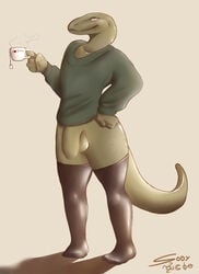 anthro balls clothing flaccid girly legwear lizard looking_at_viewer male penis reptile rubber scalie sody solo sweater thick_thighs wide_hips