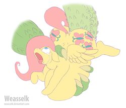 2016 cutie_mark disembodied_penis duo equine feathered_wings feathers female feral fluttershy_(mlp) forced friendship_is_magic hair hasbro hooves long_hair male mammal my_little_pony open_mouth pegasus penetration penis rape simple_background solo_focus stomach_bulge tears vein weasselk white_background wings