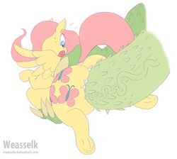 2016 cutie_mark disembodied_penis duo equine feathered_wings feathers female feral fluttershy_(mlp) forced friendship_is_magic hair hasbro hooves long_hair male mammal my_little_pony open_mouth pegasus penetration penis rape sex simple_background solo_focus stomach_bulge straight underhoof vein weasselk white_background wings