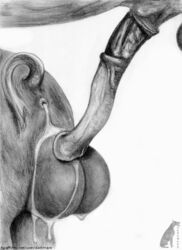 after_sex animal_genitalia animal_penis anus ass backsack balls big_balls cum cum_drip cum_in_ass cum_inside cum_leaking darkmare dripping duo equine equine_penis erection feral feral_on_feral horse horsecock interspecies male mammal pencil_(artwork) penis porcine pull_out traditional_media_(artwork) yaoi