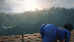 sole survivor from fallout