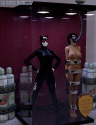 3d batman_(series) bound bound_arms bound_legs catwoman completely_naked completely_naked_female completely_nude completely_nude_female dc dc_comics mannequin nude nude_female selina_kyle thejpeger trophy_case