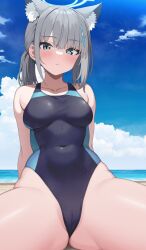 abydos_high_school_student animal_ear_fluff animal_ears blue_archive blue_eyes blue_one-piece_swimsuit blue_sky blush breasts covered_navel day daytime foreclosure_task_force_(blue_archive) gray_hair grey_hair halo looking_at_viewer one_piece_swimsuit ponytail sakamotono shiroko_(blue_archive) shiroko_(swimsuit)_(blue_archive) sitting sky solo solo_female solo_focus swimsuit teenage_girl teenager young