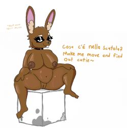 4_fingers 4_toes anthro anthro_female anthro_only box brown_fur cardboard_box chubby chubby_female fatima_coco latex_choker legs_apart rabbit rabbit_girl rabbit_humanoid shiny shiny_breasts shiny_hair sitting solo solo_female whore_eyes