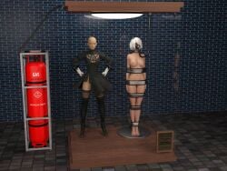 3d bound bound_arms bound_legs cirilover1 mannequin nier:_automata nude nude_female trophy_case white_hair yorha_2b