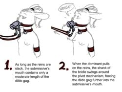 anthro arm_cuffs arms_behind_back asphyxiation bondage bound breasts bridle cattivino choker choking cock_gag collar cuffs deep_throat deepthroat_gag deepthroat_holder dildo dildo_gag female femsub forced_oral gag gagged gagging leash leash_pull nipples nude open_mouth_gag oral penis_gag ponytail rabbit reins sex_toy slow_penetration small_breasts submissive submissive_female text throat_penetration throat_training