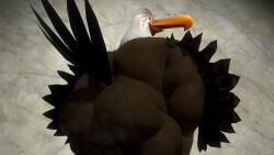 3d accipitrid accipitriform angry_birds anthro anus ass avian bald_eagle balls beak bird bodily_fluids brown_body brown_feathers columbia_pictures digital_media_(artwork) eagle feathered_wings feathers genital_fluids genitals hi_res long_beak looking_at_viewer looking_back looking_back_at_viewer male mighty_eagle musky_anus musky_butt nude overweight overweight_male presenting presenting_hindquarters rear_view rovio rovio_animation rovio_entertainment sea_eagle sega sex simple_background smile solo sony source_filmmaker_(artwork) tail tail_feathers the_angry_birds_movie twerking white_body white_feathers wings