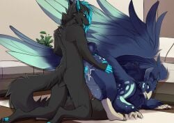 anthro anthro_on_feral anthro_penetrating anthro_penetrating_feral anus avian balls barely_visible_anus barely_visible_balls barely_visible_genitalia beak black_body black_fur blue_body blue_feathers blue_pawpads blue_penis bodily_fluids canid canine canis claws cum cum_in_pussy cum_inside digitigrade doggy_style duo erection fangs feathered_wings feathers female female_penetrated feral feral_penetrated finger_claws fluffy fluffy_tail from_behind_position fur furniture genital_fluids genitals gryphon hi_res inside kneeling leaking_cum lycangel male male/female male_on_feral male_penetrating male_penetrating_female mammal mythological_avian mythological_creature mythology open_mouth pawpads penetration penis rug sex shaded snout sofa tail teeth toe_claws tongue tongue_out wings wolf zoophilia