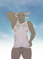 1boy 9x9 animal_genitalia anthro balls big_balls bottomless clothed clothing erection liber_souvlakia male male_only muscular nipples pose sheath shirt sky solo standing water_buffalo wet_shirt