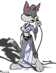 1990s 1999 20th_century animaniacs anthro breasts cat clothes color fatalis feline female female_only front_view fur furry furry_only grey_fur microphone nipples rita_(animaniacs) rita_and_runt solo standing tagme