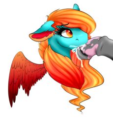 1boy ambiguous_gender blue_fur cum equine fellatio furry kuno mammal my_little_pony oral orange_eyes orange_hair pegasus penis stormence veins veiny_penis wings