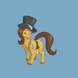 1boy alorix caramel_(mlp) equine female feral friendship_is_magic girly hat horse horseback male_only mammal my_little_pony penis pony small_penis solo top_hat