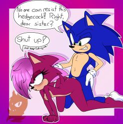 brother_and_sister furry incest meyk sonia_the_hedgehog sonic_(series) sonic_the_hedgehog sonic_the_hedgehog_(series) tagme