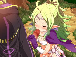 1boy 1girls blush cape censored closed_eyes elf erection erokosei fellatio female fire_emblem fire_emblem_awakening flat_chest gloves green_hair long_hair male nowi_(fire_emblem) open_mouth oral parted_bangs penis pointy_ears ponytail purple_eyes ribbon robin_(fire_emblem) robin_(fire_emblem)_(male) shorts tiara tied_hair