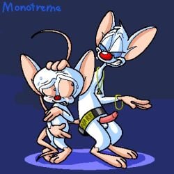 animaniacs belt belt_buckle big_ears big_head bling blue_eyes blush bodily_fluids bracelet brainsister covering covering_crotch digital_media_(artwork) duo erection gesture gold_(metal) hand_gesture hand_on_head jewelry looking_at_another low_res male male/male mammal mouse murid murine nervous nude pendant pimp pimpin_aint_easy pinky_(warner_brothers) pinky_and_the_brain questionable_consent red_nose rodent scared signature simple_background smile sweat tail_wrapped_around the_brain warner_brothers