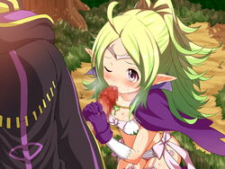 1boy 1girls blush cape censored elf erection erokosei fellatio female fire_emblem fire_emblem_awakening flat_chest gloves green_hair licking licking_penis long_hair male nowi_(fire_emblem) one_eye_closed open_mouth oral parted_bangs penis penis_lick pointy_ears ponytail purple_eyes ribbon robin_(fire_emblem) robin_(fire_emblem)_(male) shorts tiara tied_hair tongue