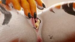 16:9 3d 3d_(artwork) 3d_animation animated anthro anus breasts canadian1579 close-up digital_media_(artwork) duo equid equine extreme_size_difference felid female female_penetrated fur genitals hair hi_res high_framerate horse huge_filesize larger_female male male/female mammal masturbation max_(canadian1579) micro multicolored_body multicolored_fur nipples nude pantherine penetration picti pussy racf92 sex short_playtime simple_background size_difference sound sound_effects spread_legs spreading striped_body stripes tagme tammy_(canadian1579) tiger unbirthing untied_verbeger vaginal_penetration verbeger video vore webm widescreen