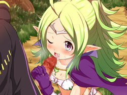 1boy 1girls blush cape censored cum cum_in_mouth elf erection erokosei fellatio female fire_emblem fire_emblem_awakening flat_chest gloves green_hair long_hair male nowi_(fire_emblem) one_eye_closed open_mouth oral parted_bangs penis pointy_ears ponytail purple_eyes ribbon robin_(fire_emblem) robin_(fire_emblem)_(male) shorts tiara tied_hair