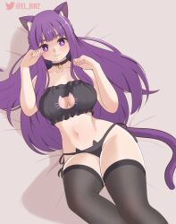 1girls aroused bed big_breasts black_bra black_panties cat_ears cat_tail collar el_bin female female_only fern_(sousou_no_frieren) girl laying_on_bed long_hair looking_at_viewer nekomimi purple_eyes purple_hair sousou_no_frieren stockings thighs tummy wide_hips