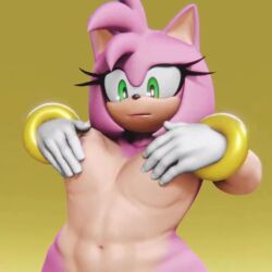 3d amy_rose animated female furry grabbing_own_breast mp4 naked nude sega small_breasts sonic_(series) sonic_the_hedgehog_(series) sound tagme video vulkyasha