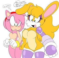 amy_rose anthro archie_comics ass bunnie_rabbot eulipotyphlan female female/female hedgehog lagomorph leporid low_res mammal rabbit sega sonic_(series) sonic_the_hedgehog_(archie) sonic_the_hedgehog_(comics) sonic_the_hedgehog_(series)